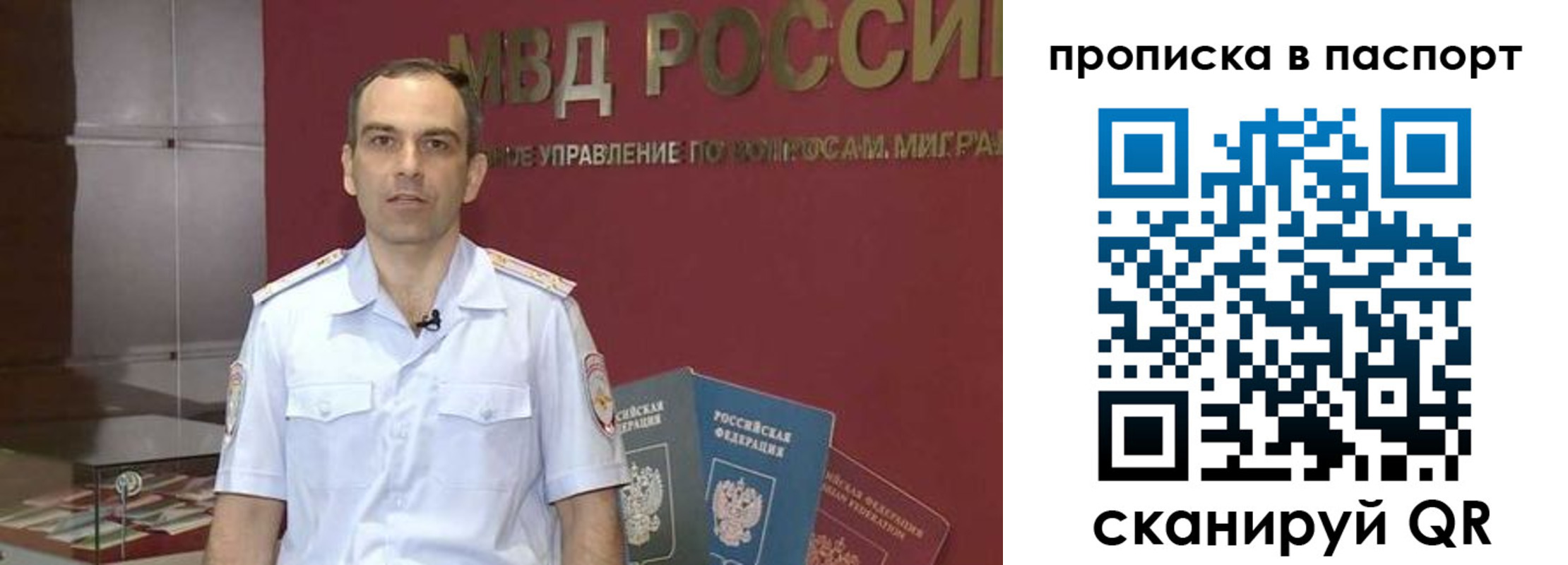 прописка поиск в Чистополье